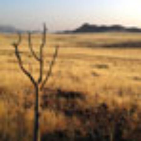 Shree Jain Mithai Bhandar